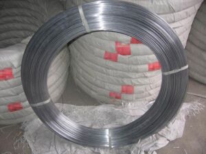 Galvanized Oval Wire